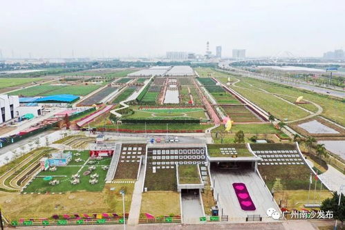 春節(jié)去哪 園 ▏看首個標志性農(nóng)業(yè)ip,坐小火車,漫步520瓜果長廊