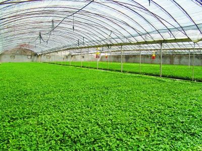 戈壁綠洲的華章——張掖市農(nóng)業(yè)綜合開發(fā)紀實