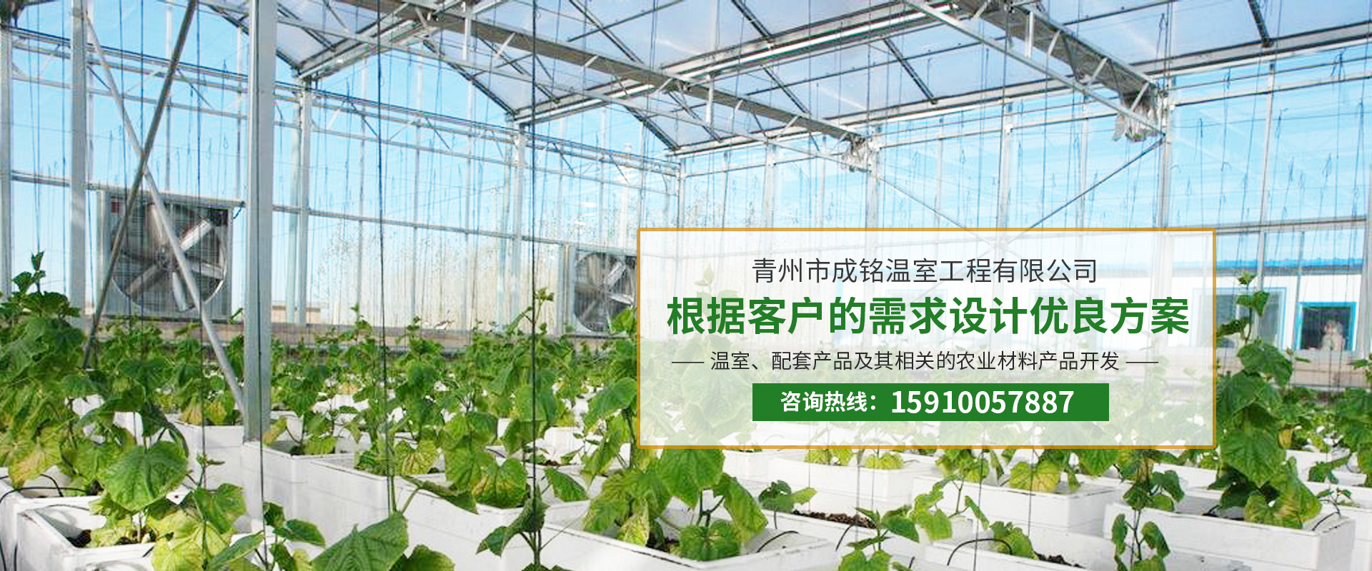 冬季溫室大棚如何做好通風 日光溫室通風口如何使用